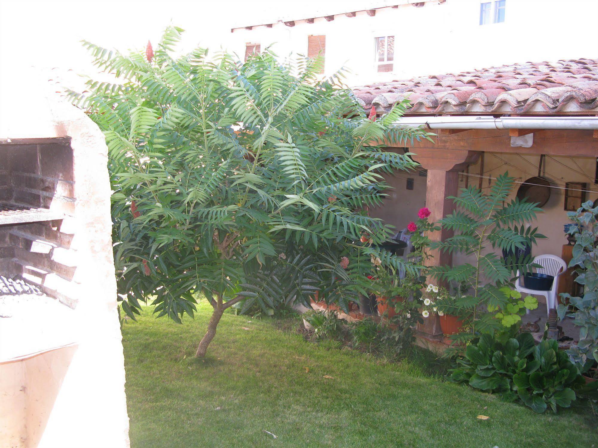 Casa Rural Arturo I Sahagún Exterior foto